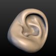 Ear-10.jpg Round Ear