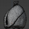 8.png 3D Model of Heart and Lungs