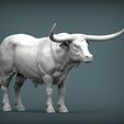 Texas-Longhorn4.jpg Texas Longhorn 3D-Druckmodell
