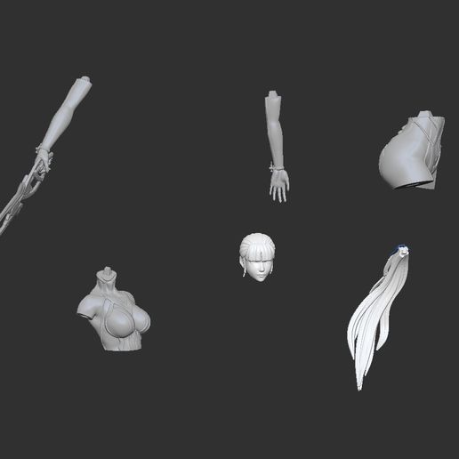 parts_1.jpg Stellare Klinge Eve