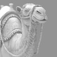 Detailed-Arabian-Camel-Saddled-Desert-Mount.84.jpg Detailed Arabian Camel - Saddled Desert Mount
