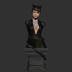 1.jpg Catwoman bust FAN ART