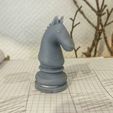 IMG_20220812_181353-01.jpeg chess piece knight