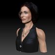 CC_0012_Layer-9.jpg Courteney Cox as Gale Weathers from Scream 2 textured