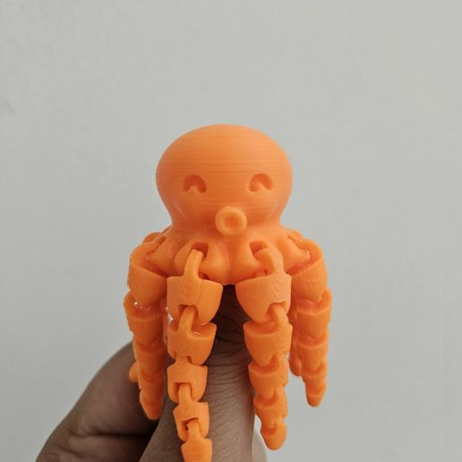 Cute Mini Octopus