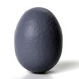 006.jpg Dinosaur egg