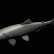 golden-dorado-statue-box-1-45.png fish golden dorado / Salminus brasiliensis with storage space / for 3d printing