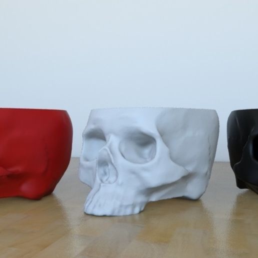 01.jpg Archivo STL gratuito skull plantpot・Idea de impresión 3D para descargar, tridimagina