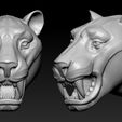 01.jpg Tiger Head  Number06