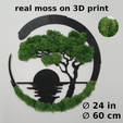 75b38e0f-4237-40cb-885b-7cce77fcab57.png Bonsai with moss for wall (60cm!)