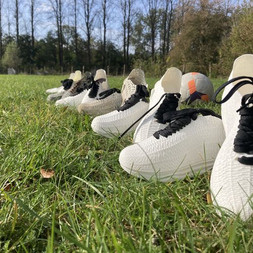 IMG_9465.jpg ION Schuhe Fire Full Voronoi