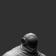 monstruo-8.jpg Colossus of the Abyss