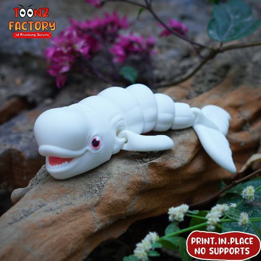 bb.jpg PRINT IN PLACE CUTE FLEXI BELUGA WHALE