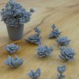 Succulents.jpg 9 SUCCULENT PLANTS FOR ENVIRONMENT DIORAMA TABLETOP 1/35 1/24