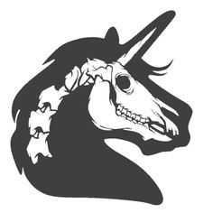 r.jpg squelette de licorne