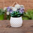 DSC031366.jpg Бесплатный STL файл Succulent Spiral Planter・План 3D-печати для скачивания