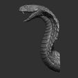5.jpg Snake cobra