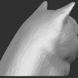 7.jpg British Shorthair cat head for 3D printing