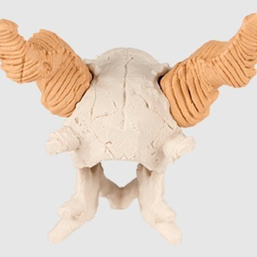 Capture d’écran 2017-09-05 à 17.54.15.png Archivo STL gratuito Cráneo del dragón・Objeto imprimible en 3D para descargar, JackieMake