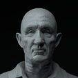 1000143885.png Breaking Bad Complete Premium 3D Bust Pack STL