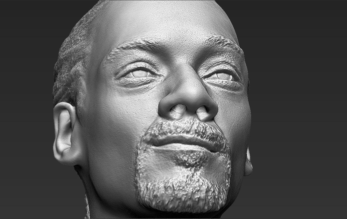 snoop-dogg-bust-ready-for-full-color-3d-printing-3d-model-obj-mtl-fbx-stl-wrl-wrz (37).jpg STL file Snoop Dogg bust ready for full color 3D printing・Template to download and 3D print, PrintedReality