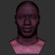 26.jpg Archivo STL Busto de Omar Sy para la impresión 3D・Plan imprimible en 3D para descargar, PrintedReality