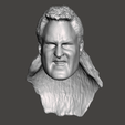 Screenshot-1320.png WWE WWF LJN Style Crush Custom Head Sculpt