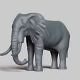 R02.jpg african elephant pose 01