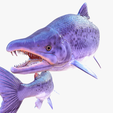 portada00.png DOWNLOAD SALMON 3D MODEL - BLENDER - 3DS MAX - CINEMA 4D - FBX - MAYA - UNITY - UNREAL - OBJ -  ANIMATED SALMON SALMON DINOSAUR DINOSAUR SALMON DINOSAUR