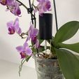 IMG_4057.jpg Smart wise flower watering, pot, watering can, automatic watering of flowers, plants