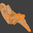 12.png 3D Model Ear Cross Section
