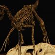 Velo-8.jpg Velociraptor Skeleton Diorama with T-Rex