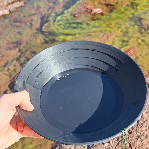 Gold Pan