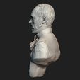 14.jpg General William Tecumseh Sherman bust sculpture 3D print model