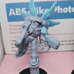 Sanguine Seraphs Torso Collection MK10