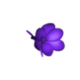 crocus flower .obj crocus flower