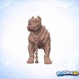 jpg_frame_18.jpg Chained Pitbull Spiked Collar Statue – RDW3D-QV8B0