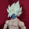 20231126_232330.jpg Goku S.H.Figuarts Face