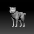 shiba1.jpg dog - shiba dog - cute dog - realistic dog for game