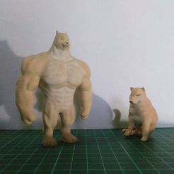 274931535_1150390225499261_1800699399828368961_n.jpg Swole vs Cheems doge meme