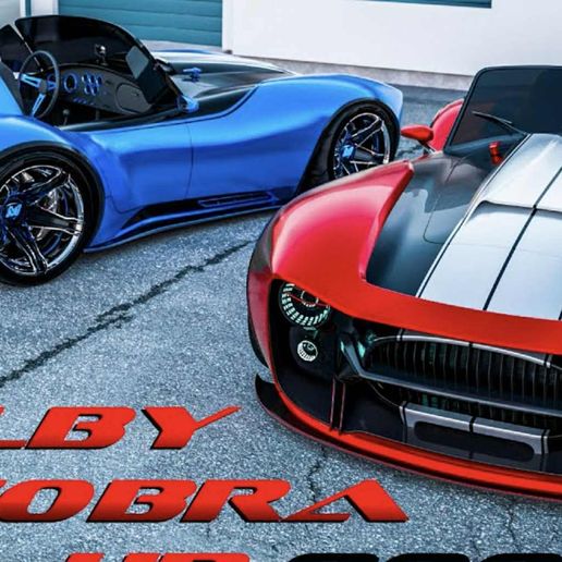 ceb16526-7a5a-461f-8bb5-424eebb48f3d.jpeg Selby Cobra custom part