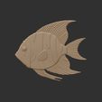 sdf.jpg tropical fish cnc 3d base relife model