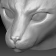 16.jpg Siamese Cat head for 3D printing