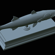 Barracuda-mouth-statue-41.png fish great barracuda / Sphyraena barracuda open mouth statue detailed texture for 3d printing