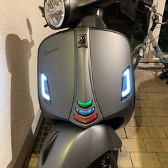 thumbnail_IMG_3737.jpg Archivo 3D gratis VESPA GTS300 HPE Kaskaden-LEDs / Montaje de LEDs en cascada・Plan de la impresora 3D para descargar