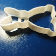 IMG_20170226_233451.jpg cookie-cutter rabbit