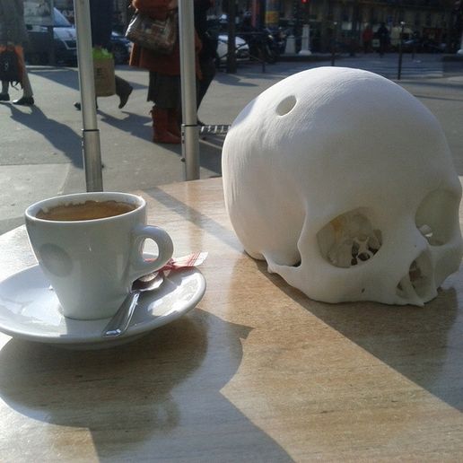 Cr_ne_humain_Cerebrix_2_-_Cults_-_by_Prevue.jpg Cerebrix cráneo humano