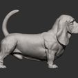 basset-hound7.jpg 3D-Datei Basset Hound 3D-Druckmodell・3D-druckbares Modell zum Herunterladen