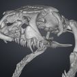 snake-skull-cobra-stl-3d-print-3demon.182.jpg Realistic Snake Skull Collection