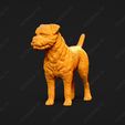 2225-Border_Terrier_Pose_03.jpg Border Terrier Dog 3D Print Model Pose 03